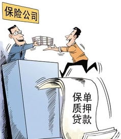 想无息贷款吗 看过来,大神教你几招