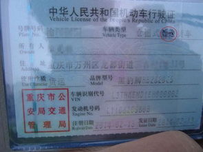 车买保险要带什么证件 车买保险都需要带什么证件