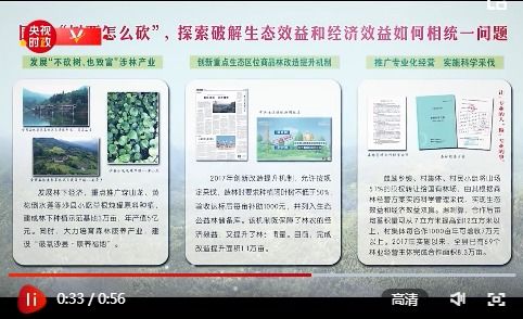 习近平福建行丨走进沙县农村产权交易中心看 林改