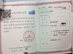 谁说 法院不能拍卖欠债人唯一住房 满足如下条件就可以