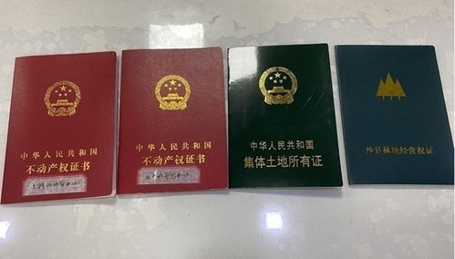 福建林改20年 用改革破解发展中的新难题