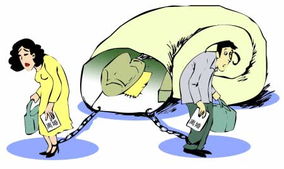 社会新现象 蜗婚 离婚不分家