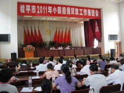 桂平市召开小额担保工作推进会