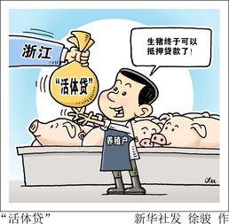 活体贷